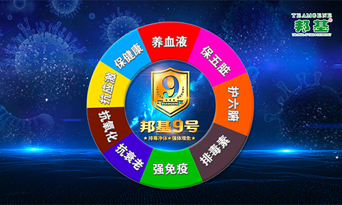 邦基9號(hào)